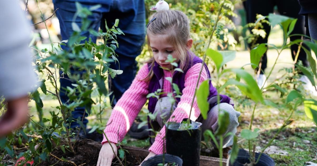 Este sbado arrancan las jornadas gratuitas para compartir en familia