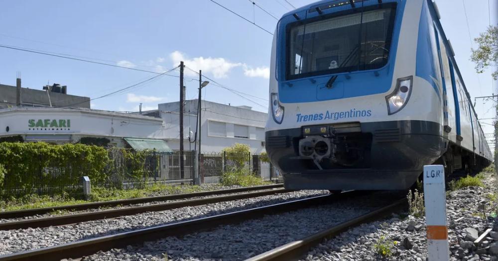 Durante 45 diacuteas circularaacute limitado un ramal clave del tren Roca 