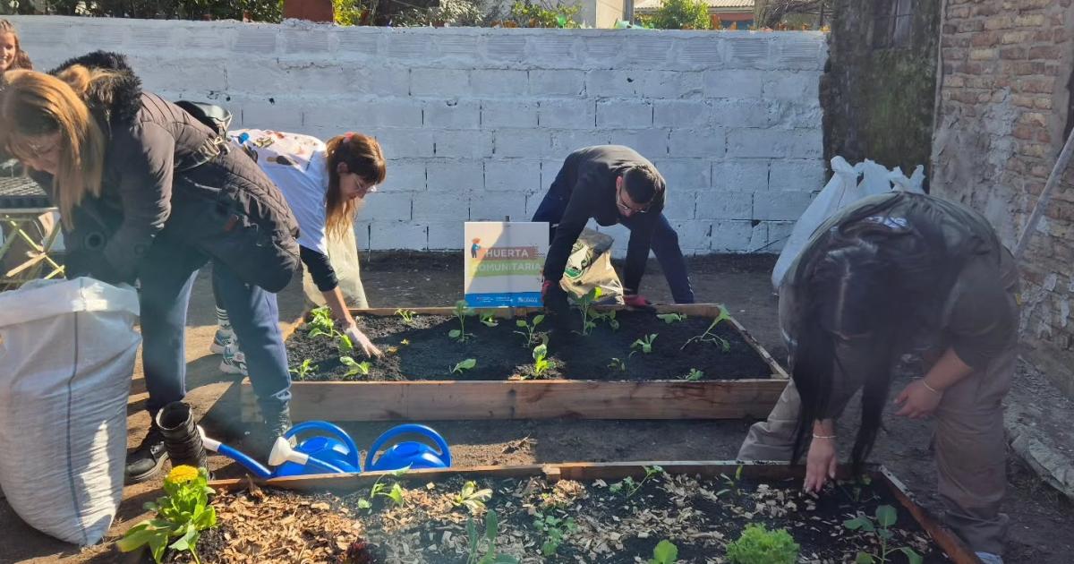 Las huertas son creadas para la producción de alimentos saludables