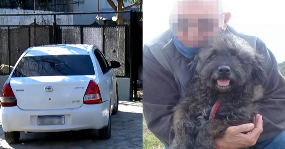 El auto de la víctima y su perro asesinado a puñaladas
