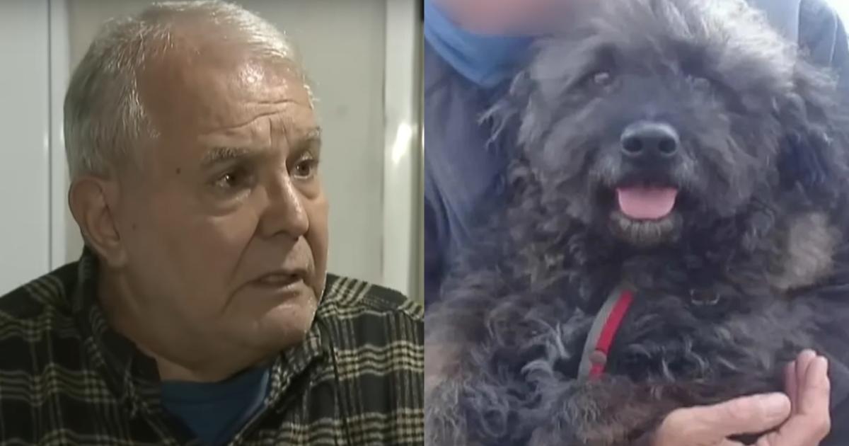 La víctima del robo lamentó el asesinato de su perro