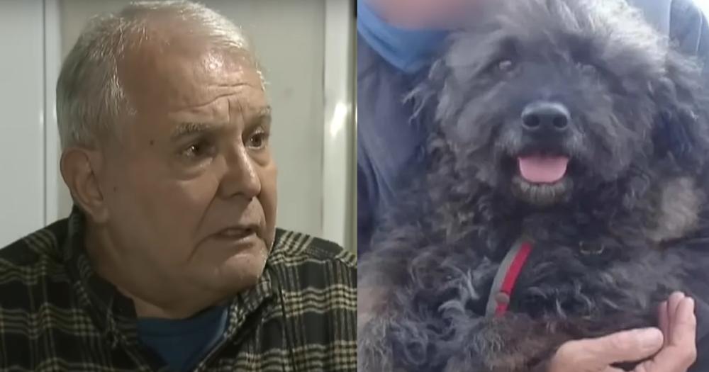 La víctima del robo lamentó el asesinato de su perro