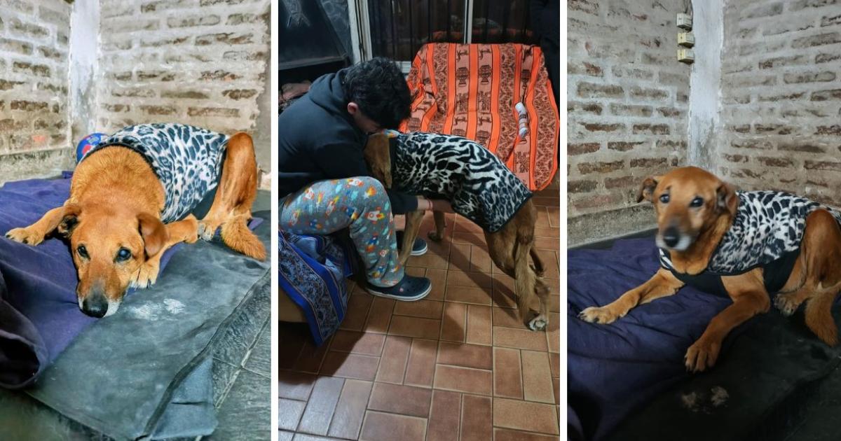 Bajo techo y con amor de familia