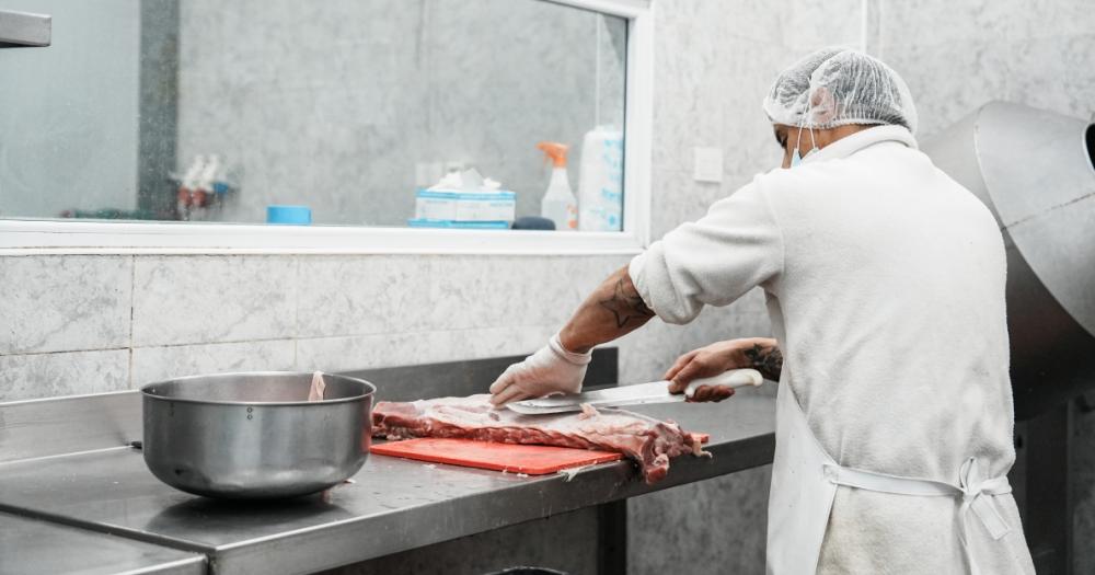 Hay ofertas laborales en varios rubros y especialidades
