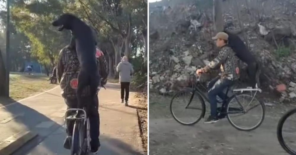 El paseo que se volvió viral en las redes sociales