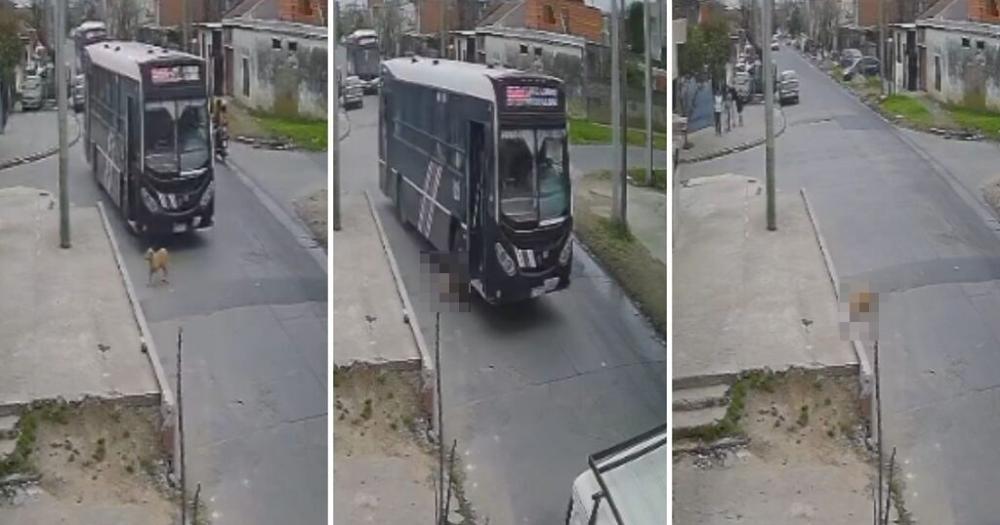 La secuencia del tr?gico suceso