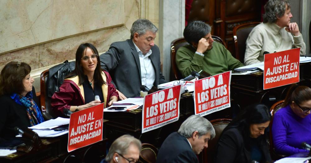 Milei a punto de perder la batalla por el desguace a la Discapacidad 