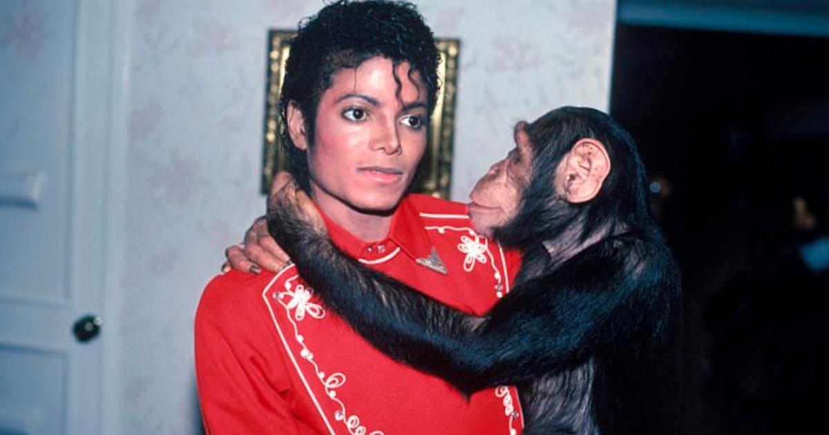 Michael Jackson con su chimpancé