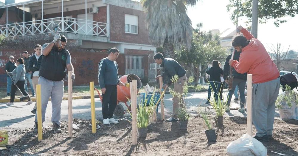 La limpieza de basurales se complementa con plantaciones de especies nativas