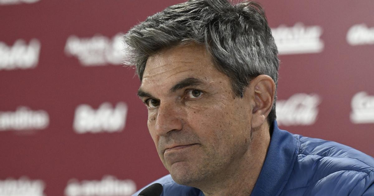 Pellegrino brindó su anlisis tras la caída en el José Amalfitani