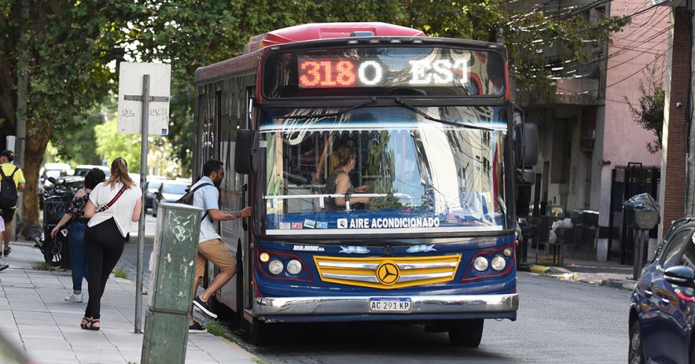 Por las elecciones el 7 de septiembre el viaje en colectivo en Lomas seraacute gratuito