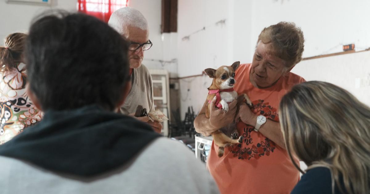 El trailer llega a espacios públicos e instituciones lomenses