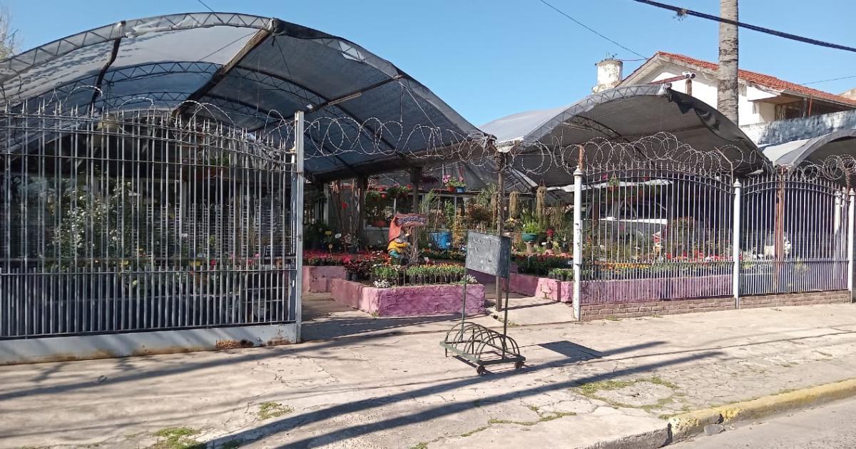 El vivero funciona hace ya 40 años en Lomas