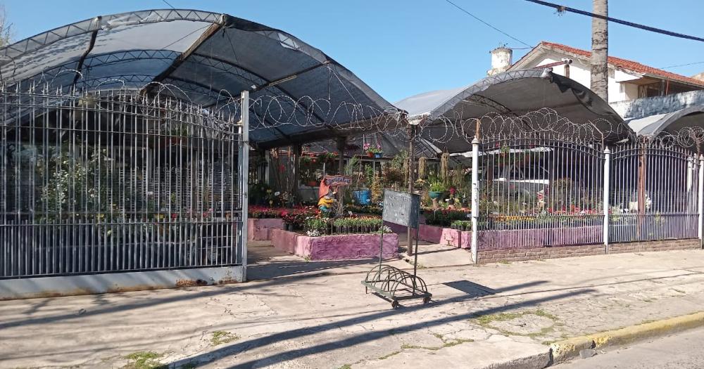 El vivero funciona hace ya 40 años en Lomas