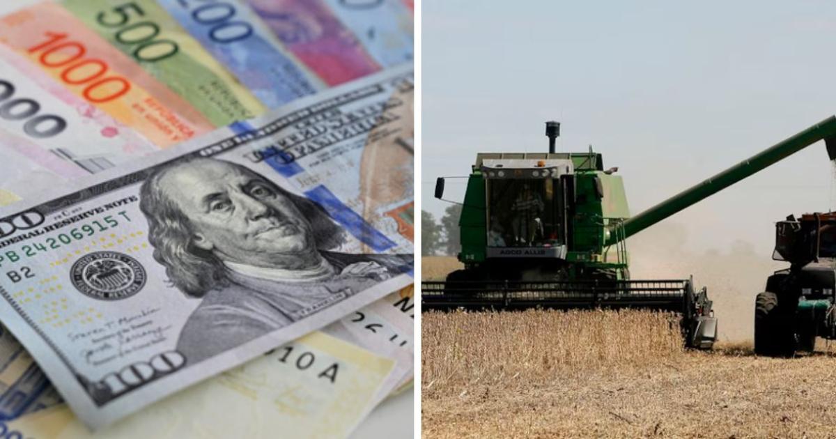 En medio de la tensión por el dólar el Gobierno de Javier Milei le bajó las retenciones a los granos