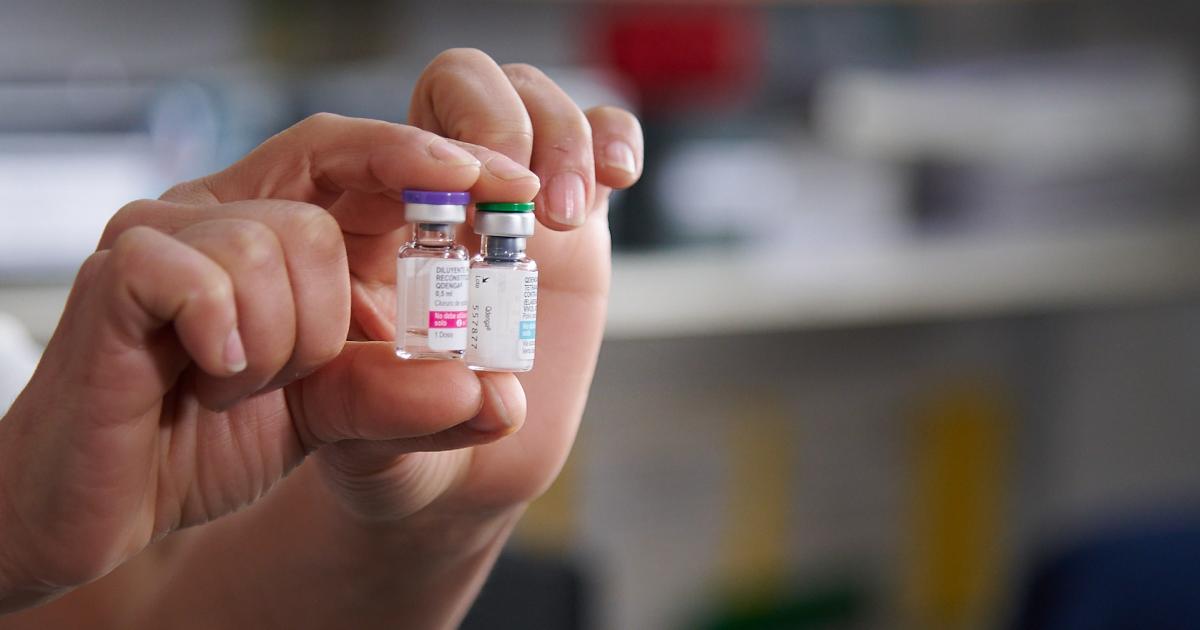 Se acerca la época de mayor proliferación del mosquito Aedes Aegypti