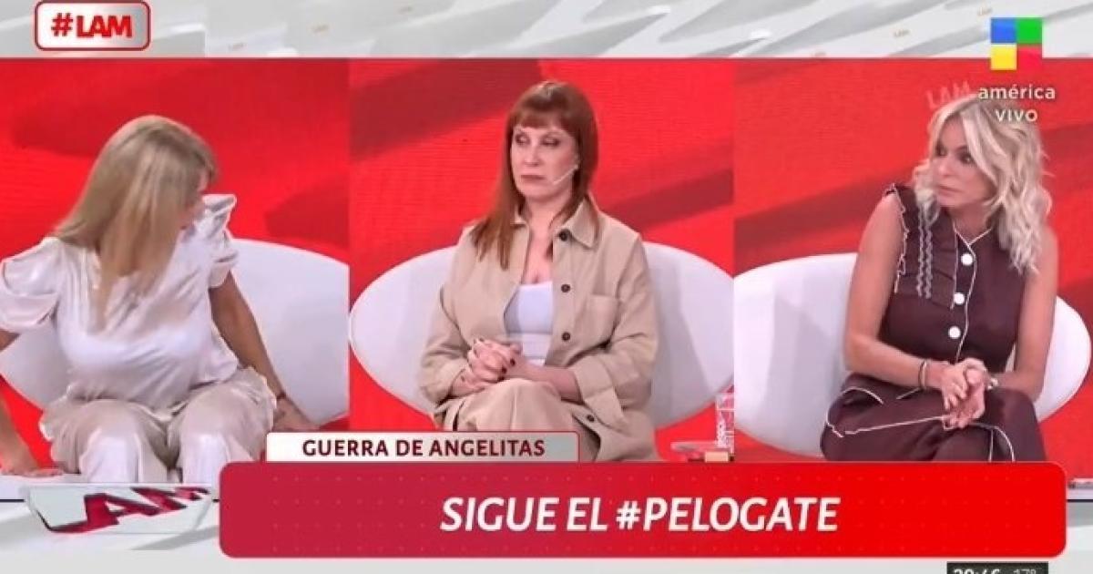 En un momento del intercambio de palabras Yanina preguntó- Qué pasó