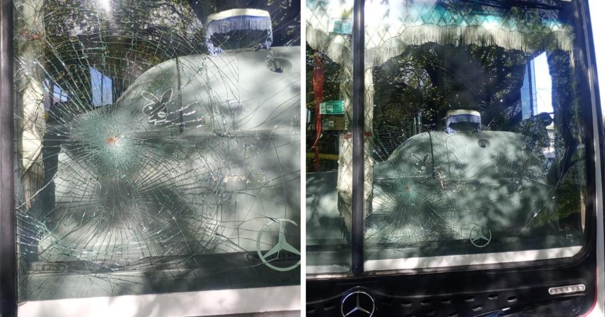 Así quedó el colectivo tras la brutal agresión