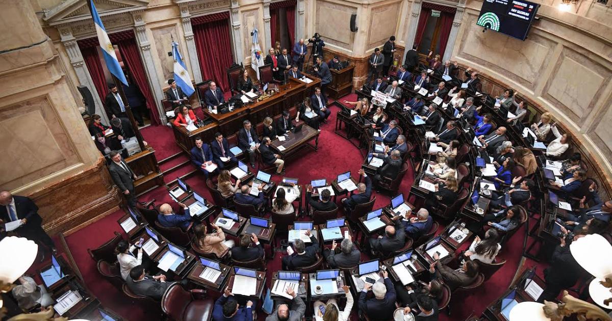 El Senado volteoacute los vetos de emergencia en pediatriacutea y financiamiento universitario