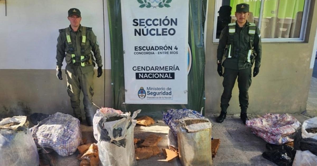 El operativo fue realizado por Gendarmería Nacional