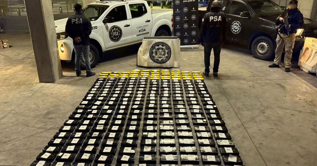 Incautaron una gran cantidad de cocaína