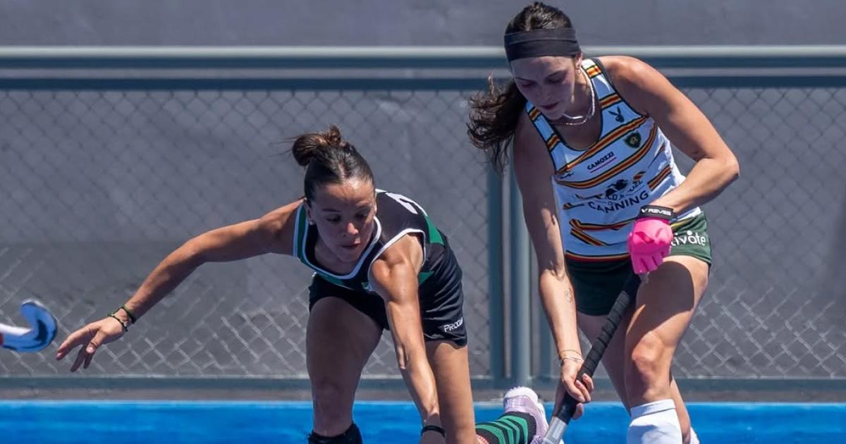 Ovejero citada a las Leonas