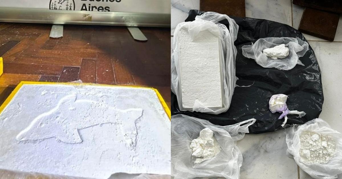 La cocaína tenía el sello del delfín