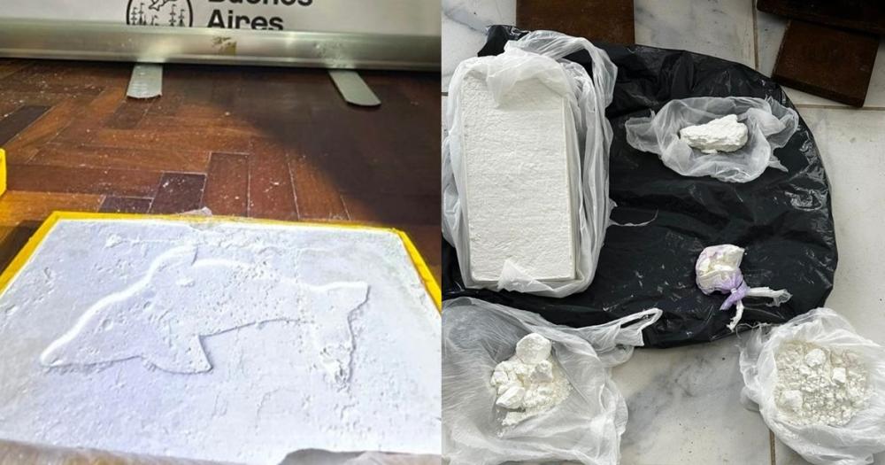La cocaína tenía el sello del delfín