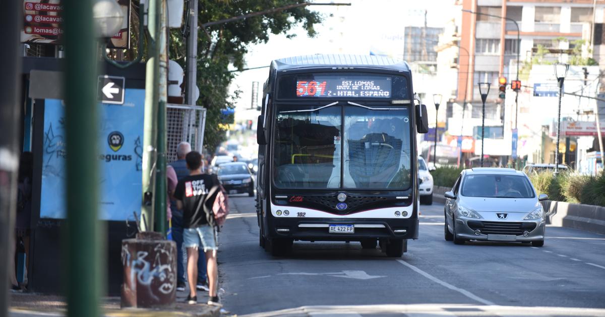 Elecciones 2025- queacute colectivos ofreceraacuten servicio gratuito en Lomas de Zamora