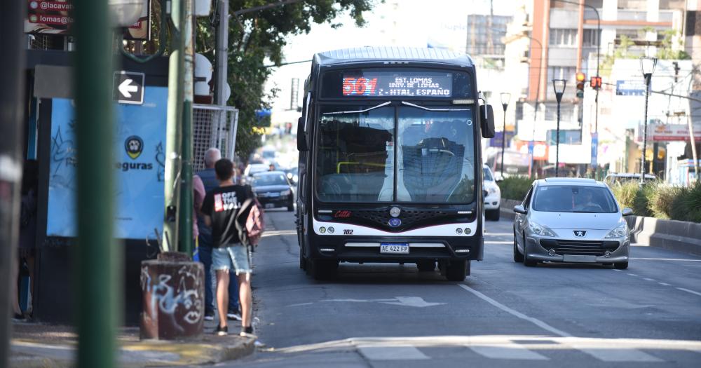 Elecciones 2025- queacute colectivos ofreceraacuten servicio gratuito en Lomas de Zamora