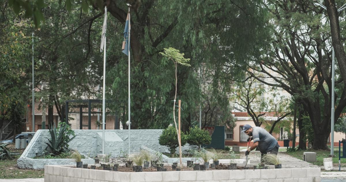 El programa Forestar en Comunidad se despliega en todo el territorio lomense