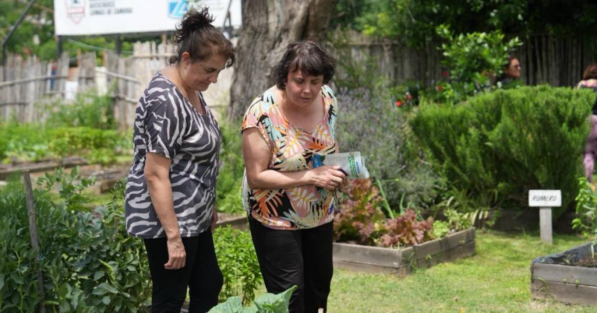 Sigue adelante la entrega de kits de semillas agroecoloacutegicas en Lomas
