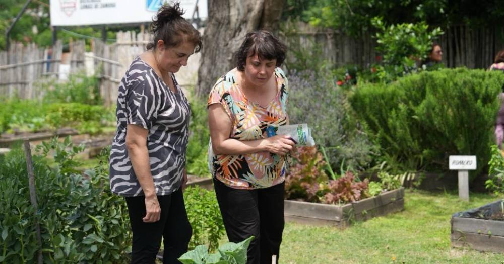 Sigue adelante la entrega de kits de semillas agroecoloacutegicas en Lomas