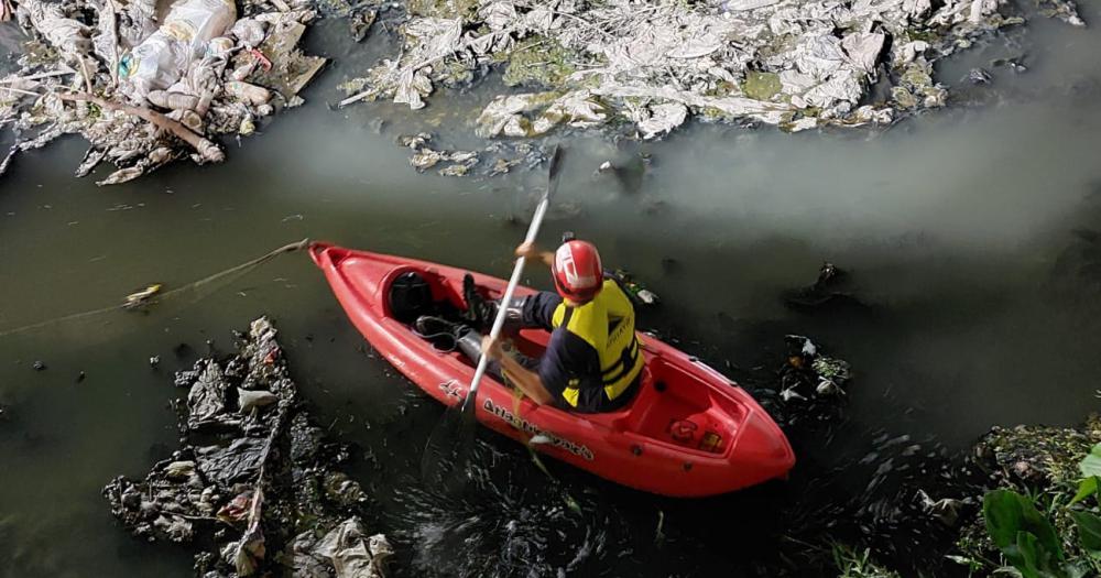 Los Bomberos De Lomas Y El Heroico Rescate De Dos Perros En Budge ...